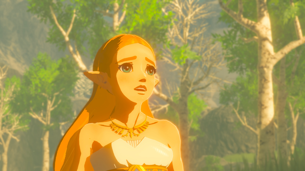 The Legend of Zelda Breath of the Wild